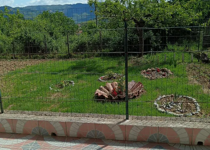 La casa di Pina